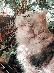 Cat Tracker RF Finder Longest Range up to 1600 ft lightest pet Safety Tracking Device only 0.28oz Sm