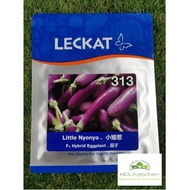 (+-10g) Benih terung/Eggplant Leckat F1 313 Little Nyonya