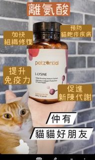 [一瓶免運費，佐敦大埔現貨]Petzential Lysine 貓 離胺酸  90粒