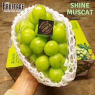 องุ่นไซมัสคัส (ยกลัง2-3ช่อ/2KG) Shine Muscat Grape (KOR/CHN) 샤인 무스카트 ~ลดพิเศษ~ องุ่นเขียว องุ่นไชน์ม