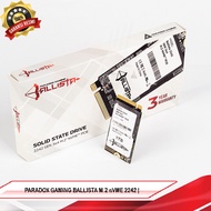 PARADOX GAMING BALLISTA M.2 nVME 2242 | SSD
