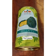 Bella F1 (100 grams) Hybrid Squash / Kalabasa by East West Seed