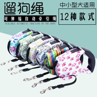 Pet Automatic Retractable Leash Dog Leash 5m Dog Leash Multi-Color Optional Dog Leash Factory