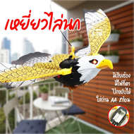 เหยี่ยวไล่นก ไล่นกพิราบ เหยี่ยวไล่นกมีเสียงขยับได้ มีเสียง มีไฟที่ตา ปีกขยับได้ อุปกรณ์ไล่นก