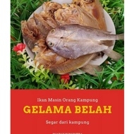 Ikan gelama masin/ikan gelama kering kurang masiin buatan bumiputera