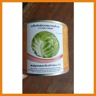 ☇◑ IN & CO F1 HYBRID WONDERBALL CABBAGE SEED 100 g