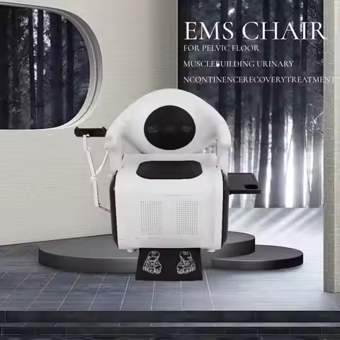 EMS Machine Pelvic Floor Restoration Chair for Urinary Leakage Muscle Strengthening Fitness Rehabili