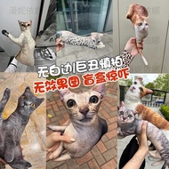 【00118fmrtfa29.my】 DIY抱枕定制丑猫咪异形狗宠物睡觉长条靠垫枕头玩偶公仔印 无白边DIY Pillow Customization Ugly Cat Alien Dog Pe 【0