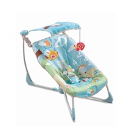 Fisherprice Soothe&Go Bouncy Seat