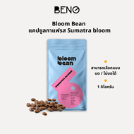 1KG เมล็ดกาแฟคั่ว Sumatra Bloom คัดสรรจากสายพันธุ์ ATENG GAYO 1 และ GAYO 2