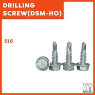 Dsm516Ho Self drilling screw C channel screw ekor udang skru skru bumbung screw #10x5/8 skru besi c channel
