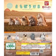 發呆動物 8 Machiboke 半蹲動物 蹲下動物 等待動物 呆等動物 放空動物 倉鼠 雀仔 八哥 海豚 馬 動物扭蛋 扭蛋 日本扭蛋 日本代購 景品 玩具 公仔 擺設 figure 周邊 盒玩 盒