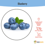 Blueberry 蓝莓 (+/-125g)