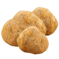 Lion's Mane Mushroom猴头菇  100G