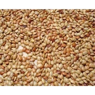 Horse Gram / Kollu Seed 250gm