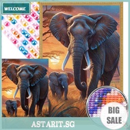 Elephant 5D DIY Full Drill Round Diamond Painting Kit for Home Wall Decor45x65cm