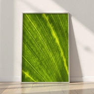 HD Landscape Natural Leaf Poster - Wooden Frame natural Size 20x30cm & 30x40cm