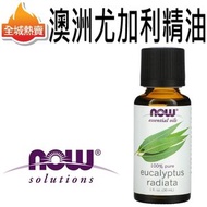 [30 毫升] 澳洲尤加利精油 純度100%