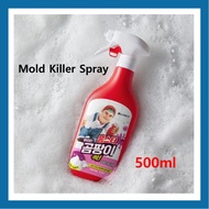 [LG생활건강] HOMESTAR Spray Mold Killer Cleaner 500m | Powerful 99.99% Anti-Mold & Disinfectant Foam Spr