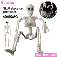90 40Cm Human Skeleton High Size Teaching Aid Skeleton Model Torso/ Human Skleton/ Adult Human Size 