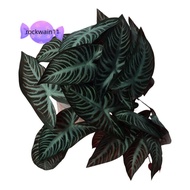 ROCKWAIN11 Artificial Water Plants, Plastic 25CM Tall Fish Tank Plants, Ornaments Green Habitat Deco