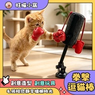 Cat Toys Cat Teasing Toys Cat Teasing Sticks Gloves Cat Teasing Sticks Cat Toys Cat Boxing Toys Suck