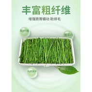 23 New Grass Head Stubborn Drying Timothy Grass Section Timothy Grass Beiti Chinchilla Rabbit Grass 