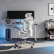 SIHOO  DORO C300 白/黑色 西昊人體工學椅 Ergonomic office chair 電腦椅