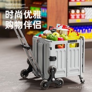 Folding Shopping Cart Grocery Shopping Cart Small Pull Cart Trolley Cart Shopping Portable Trolley P