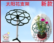 *BloomsMY*Lollipop Plant Support 9 Oclock Flower/Ros Jepun/Rak Bunga Kembang Jam 19/ 太阳花棒棒糖 九点花支架