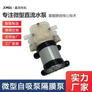 545泵微型自吸水泵 微型水泵 隔膜泵 小型水泵 咖啡機泵