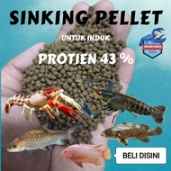 SINKING PELLET PROTIEN 43% PELLET UDANG / MAKANAN UDANG KARA AIR TAWAR / PELLET KELAH / PELLET KERAP