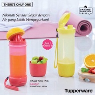 900ml Infused water Bottle