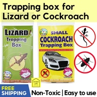 [SG Stock] Trap box for Cockroach or Lizard, Quality pest control Trap box | easy to use, non toxic, for home / car