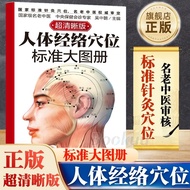 Human Medicine Acupuncture Map Standard Large Acupuncture Map Ultra-Clear Human Medicine Acupuncture