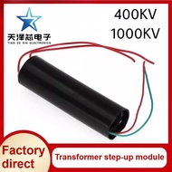 High Voltage Generator High Voltage Module Voltage Inverter Transformer Booster Module 3-6V 400KV 1,