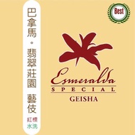 TreesWind 巴拿馬 翡翠莊園 藝伎 咖啡豆