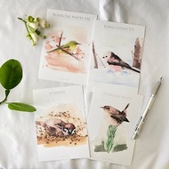 鳥兒明信片組 30 小型鳥 ( 綠繡眼 麻雀 鷦鷯 銀喉長尾山雀 )