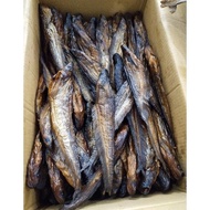 Ikan Lais Salai 500gr Ukuran Besar dan Kecil