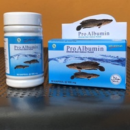 [ COD ] Ash-shihah Pro Albumin Ekstrak ikan gabus - 50 kapsul - Pro albumin ikan gabus