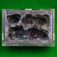 The Kilkenny Marble Ant Nest (Small)  - Ant Farm Ant Formicarium Ant Nest The Ant Shop Ant Keeping A