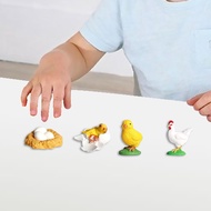 [Finevips1] Life Cycle of Chicken Toys Girls Animal Life Growth Cycle Figure