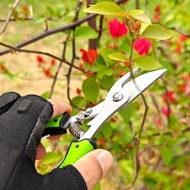 Scissors Garden Branch Shears Fruit Shears Fruit Picking Shears Gardening Shears Flower Branch Shear