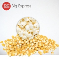 Popcorn Mushroom / Popcorn Kernels / Bertih Jagung