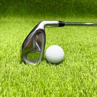 Brand New Golf Club No. 7 Iron Club Men Women No. 7 Practice Club Competition Club High-Appearance C