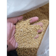 (WHOLESALE) CHICKEN FEED BR1-GD21 -1KG - AGE 8 DAYS - 21 DAYS