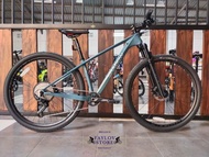 SEPEDA GUNUNG MTB SHADOW BONE 29 X 17 GLOSSY GREY