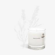 Maison Louis Marie｜香氛蠟燭─迷情薰衣草 Antidris Lavender