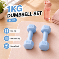 Womens Dumbbell Hexagonal Dumbell Gym Fitness Exercise Family Weight Training Exercise Dumbbells Set