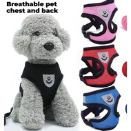 Harness Vest Cat Dog Rabbit Vest LeadTALI Reflective Cat Harness Cat Harness And Leash